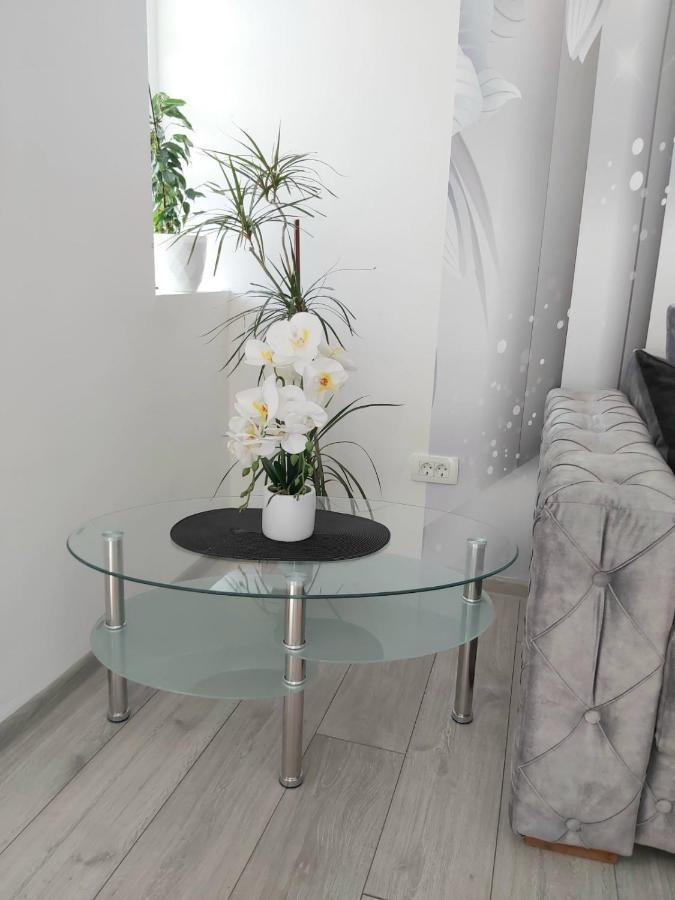 Apartment Marina 2 Kotor Exteriér fotografie